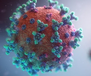 coronavirus outbreaks